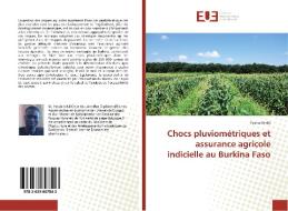 Chocs pluviométriques et assurance agricole indicielle au Burkina Faso di Yassia Kindo edito da Editions universitaires europeennes EUE
