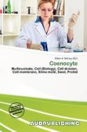 Coenocyte edito da Aud Publishing