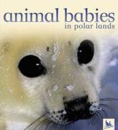 Animal Babies in Polar Lands di Jennifer Schofield edito da Kingfisher