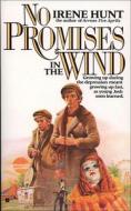 No Promises in the Wind di Irene Hunt edito da PERFECTION LEARNING CORP