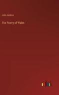 The Poetry of Wales di John Jenkins edito da Outlook Verlag