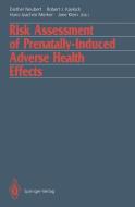 Risk Assessment of Prenatally-Induced Adverse Health Effects edito da Springer Berlin Heidelberg