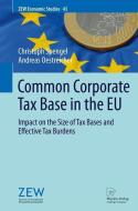 Common Corporate Tax Base in the EU di Christoph Spengel, Andreas Oestreicher edito da Physica Verlag