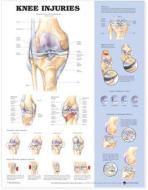 Knee Injuries Anatomical Chart di Anatomical Chart Company edito da Anatomical Chart Co.