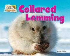 Collared Lemming di Dee Phillips edito da BEARPORT PUB CO INC