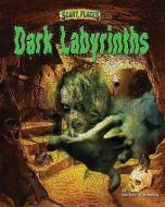 Dark Labyrinths di Michael E. Goodman edito da BEARPORT PUB CO INC