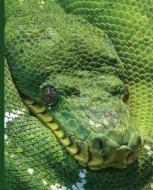 Green Snake Notebook: Green Snake Notebook: Viper Serpent: Wide Ruled - 100 Sheets - 200 Pages - 9.25 X 7.5 In. for Scho di Feathered Friends Publishing edito da INDEPENDENTLY PUBLISHED