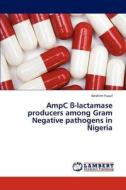 AmpC ß-lactamase producers among Gram Negative pathogens in Nigeria di Ibrahim Yusuf edito da LAP Lambert Academic Publishing