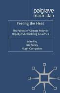 Feeling the Heat di Ian Bailey, Hugh Compston edito da Palgrave Macmillan UK