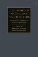 CIVIL REMEDIES AND HUMAN RIGHTS IN di ARISTOVA EKATERINA edito da BLOOMSBURY ACADEMIC
