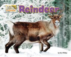 Reindeer di Dee Phillips edito da BEARPORT PUB CO INC