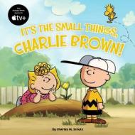 It's the Small Things, Charlie Brown! di Charles M. Schulz edito da SIMON & SCHUSTER BOOKS YOU