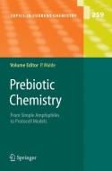 Prebiotic Chemistry di Peter Walde edito da Springer Berlin Heidelberg