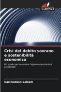 Crisi del debito sovrano e sostenibilità economica di Nazimudeen Saleem edito da Edizioni Sapienza