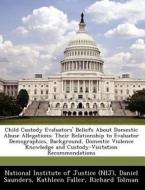 Child Custody Evaluators\' Beliefs About Domestic Abuse Allegations di Daniel Saunders, Dr Kathleen Faller edito da Bibliogov