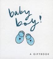 Baby Boy! edito da Exley Publications Ltd