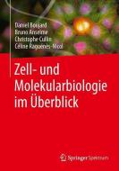 Zell- und Molekularbiologie im Überblick di Daniel Boujard, Bruno Anselme, Christophe Cullin, Céline Raguénès-Nicol edito da Springer-Verlag GmbH