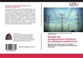 Estudio del envejecimiento eléctrico de aisladores poliméricos di Ulises Manassero, Juan Pedro Fernández, Irene Beatríz Steinmann edito da EAE