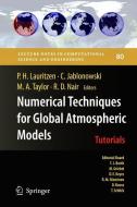 Numerical Techniques for Global Atmospheric Models edito da Springer Berlin Heidelberg
