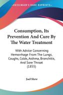 Consumption, Its Prevention And Cure By The Water Treatment di Joel Shew edito da Kessinger Publishing Co