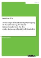 Nachhaltige, effiziente Energieversorgung im Zusammenhang mit einem Klimaschutzkonzept für den niedersächsischen Landkre di Edy Afonso-Girao edito da GRIN Verlag