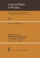 Applications of Self-Adjoint Extensions in Quantum Physics edito da Springer Berlin Heidelberg