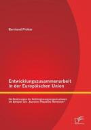 Entwicklungszusammenarbeit in der Europäischen Union: EU-Förderungen für Nichtregierungsorganisationen am Beispiel von " di Bernhard Pichler edito da Diplomica Verlag