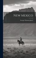 New Mexico di George Wharton James edito da LEGARE STREET PR