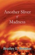 Another Sliver Of Madness di Bradley L Bodeker edito da America Star Books