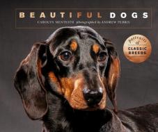 Beautiful Dogs di Carolyn Menteith edito da Ivy Press