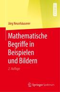 Mathematische Begriffe in Beispielen und Bildern di Jörg Neunhäuserer edito da Springer-Verlag GmbH