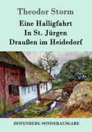 Eine Halligfahrt / In St. Jürgen / Draußen im Heidedorf di Theodor Storm edito da Hofenberg