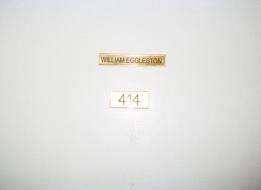 William Eggleston 414 di Harmony Korine, Juergen Teller edito da Steidl Gerhard Verlag