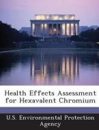 Health Effects Assessment For Hexavalent Chromium edito da Bibliogov