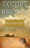 Rainwater di Sandra Brown edito da Gallery Books