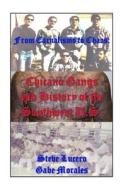 Chicano Gangs and History of the Southwest U.S.: From Carnalismo to Chaos: di MR Gabe Morales edito da Createspace