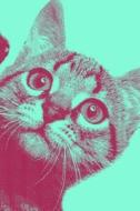 Notebook: Domestic Shorthair Alley Cat (Blue) di Dms Books edito da LIGHTNING SOURCE INC