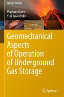 Geomechanical Aspects of Operation of Underground Gas Storage di Yuri Kovalenko, Vladimir Karev edito da Springer Nature Switzerland