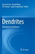 Dendrites edito da Springer Verlag, Japan