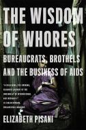 The Wisdom of Whores: Bureaucrats, Brothels and the Business of AIDS di Elizabeth Pisani edito da W W NORTON & CO