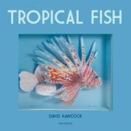 Tropical Fish di David Hawcock edito da Universe Publishing