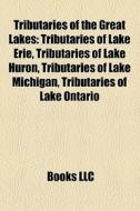 Tributaries Of The Great Lakes: Tributar di Books Llc edito da Books LLC