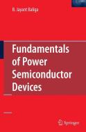 Fundamentals of Power Semiconductor Devices di B. Jayant Baliga edito da Springer US