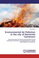 Environmental Air Pollution in the city of Bamenda Cameroon di Nsoh Marius edito da LAP Lambert Academic Publishing