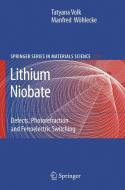 Lithium Niobate di Tatyana Volk, Manfred Wöhlecke edito da Springer-Verlag GmbH