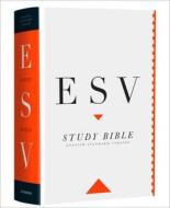 Study Bible: English Standard Version (ESV) Personal size edition di Collins Anglicised ESV Bibles edito da HarperCollins Publishers