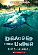 The Bull Shark (Dragged from Under #1) di Joseph Monninger edito da SCHOLASTIC