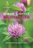 Essbare und giftige Wildpflanzen di Bruno P. Kremer edito da Ulmer Eugen Verlag