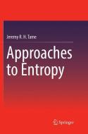 Approaches to Entropy di Jeremy R. H. Tame edito da Springer Singapore