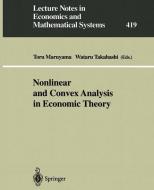 Nonlinear and Convex Analysis in Economic Theory edito da Springer Berlin Heidelberg